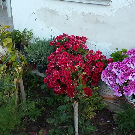 Keramos Boutique Oren (Milas)